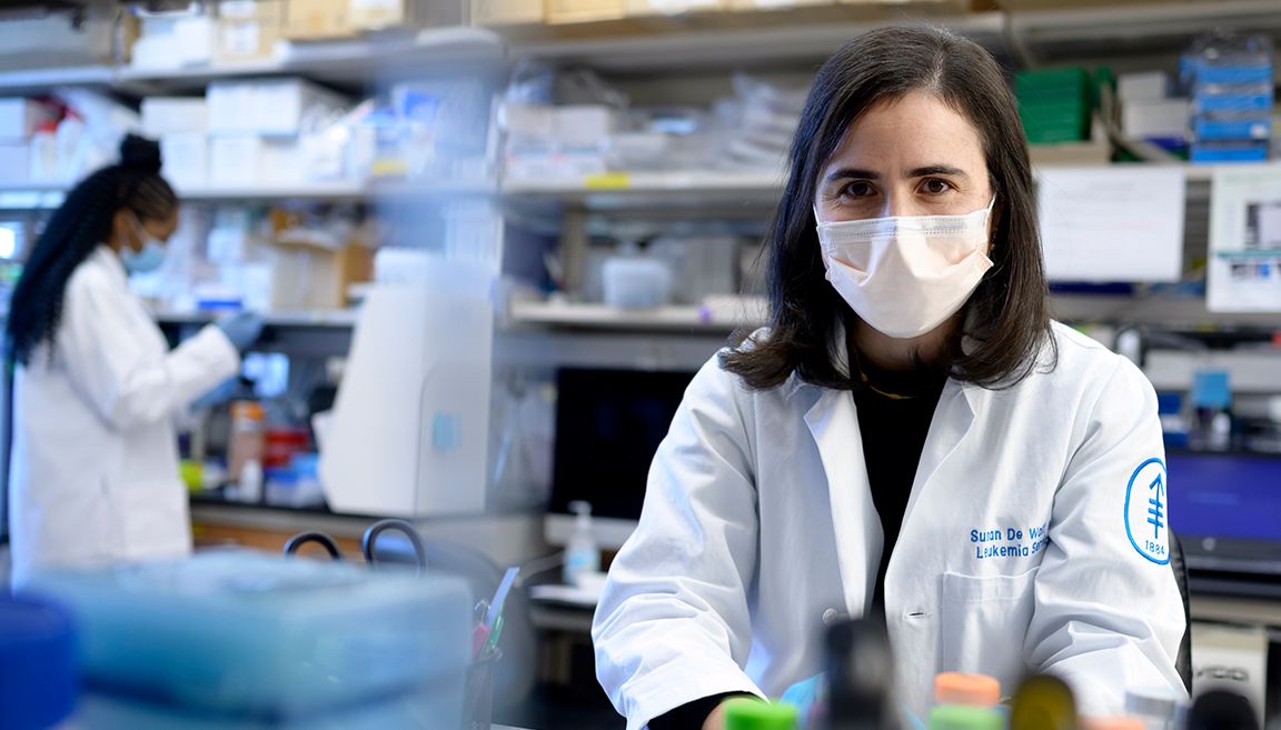 Leveraging the immune system 