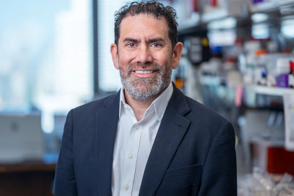 MSK gastrointestinal oncologist and colorectal cancer expert Luis Diaz Jr., MD,  